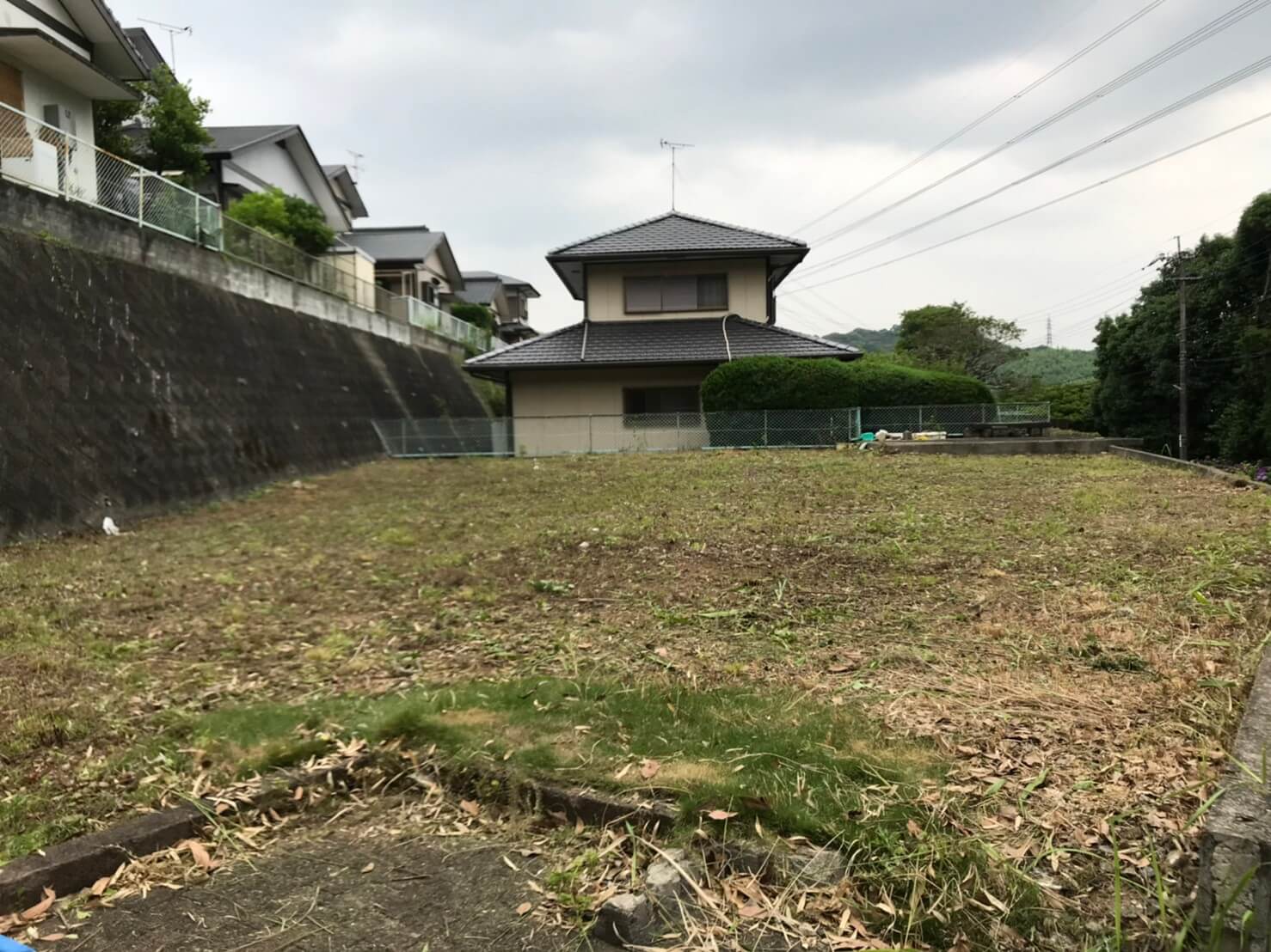 背丈の高い草木がなくなりかなりすっきりとしてましたが、まだまだ終わりではありません！